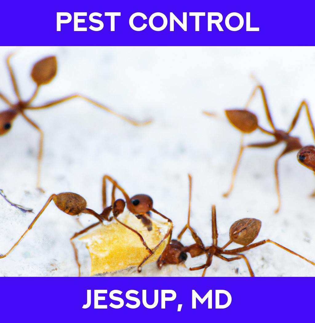pest control in Jessup Maryland