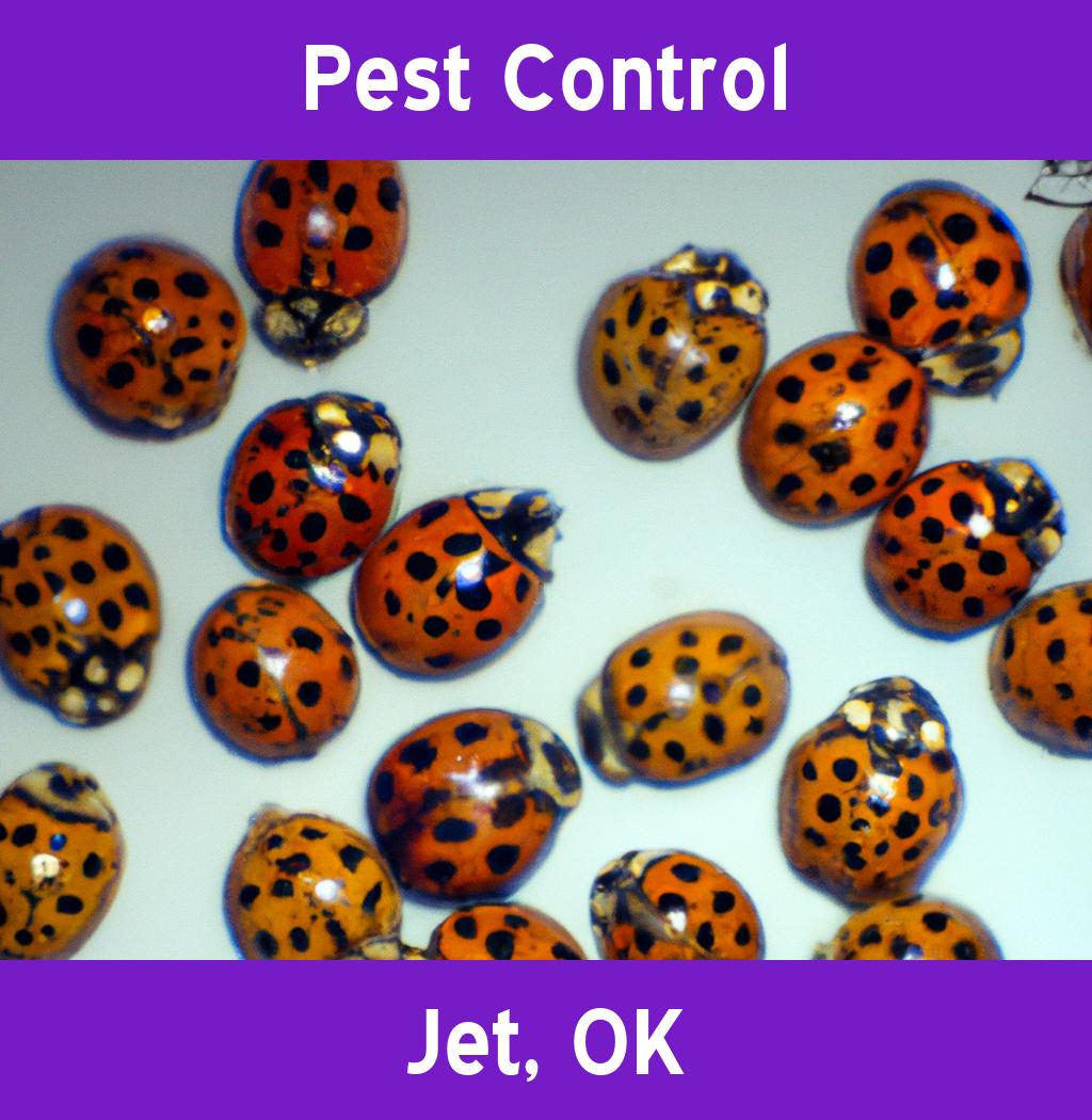 pest control in Jet Oklahoma