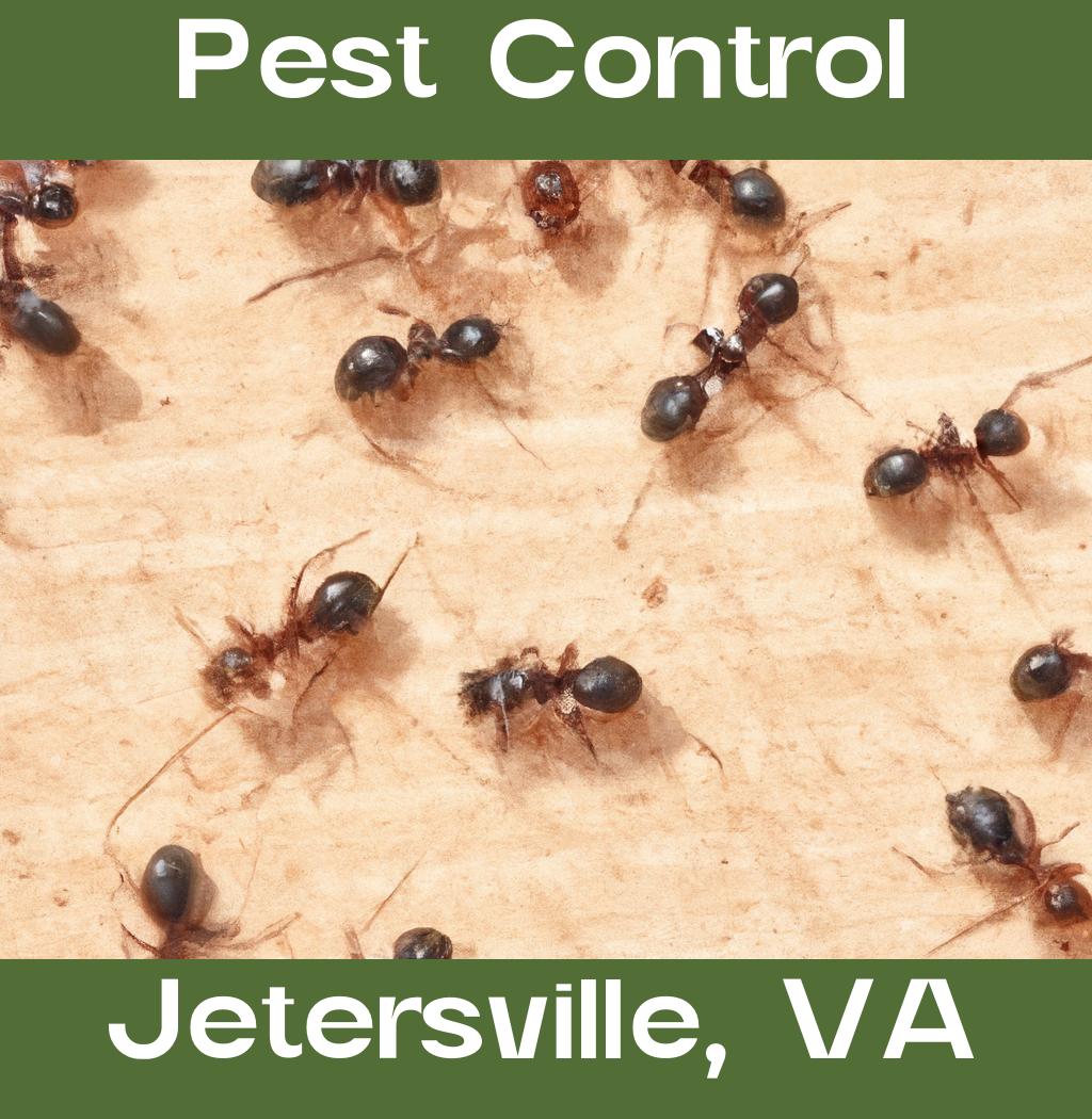 pest control in Jetersville Virginia