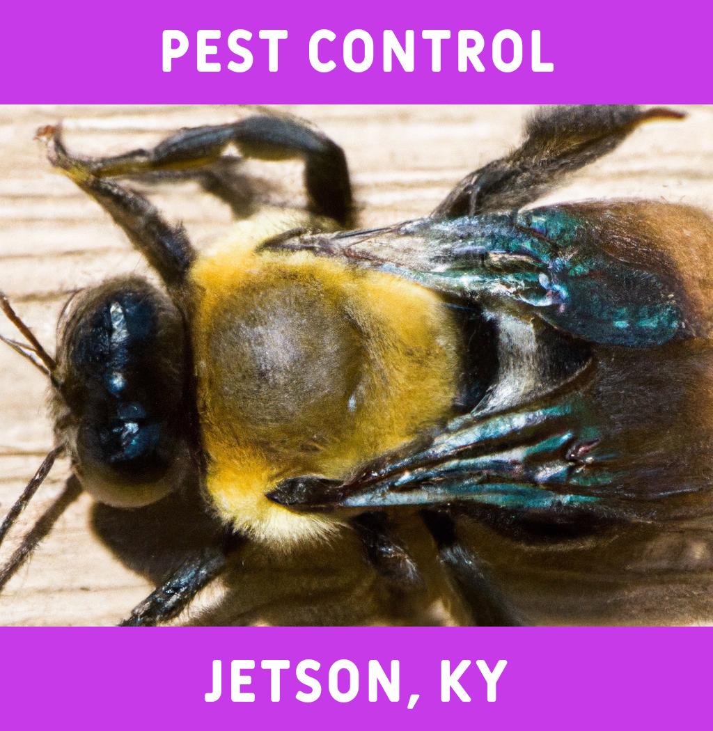 pest control in Jetson Kentucky