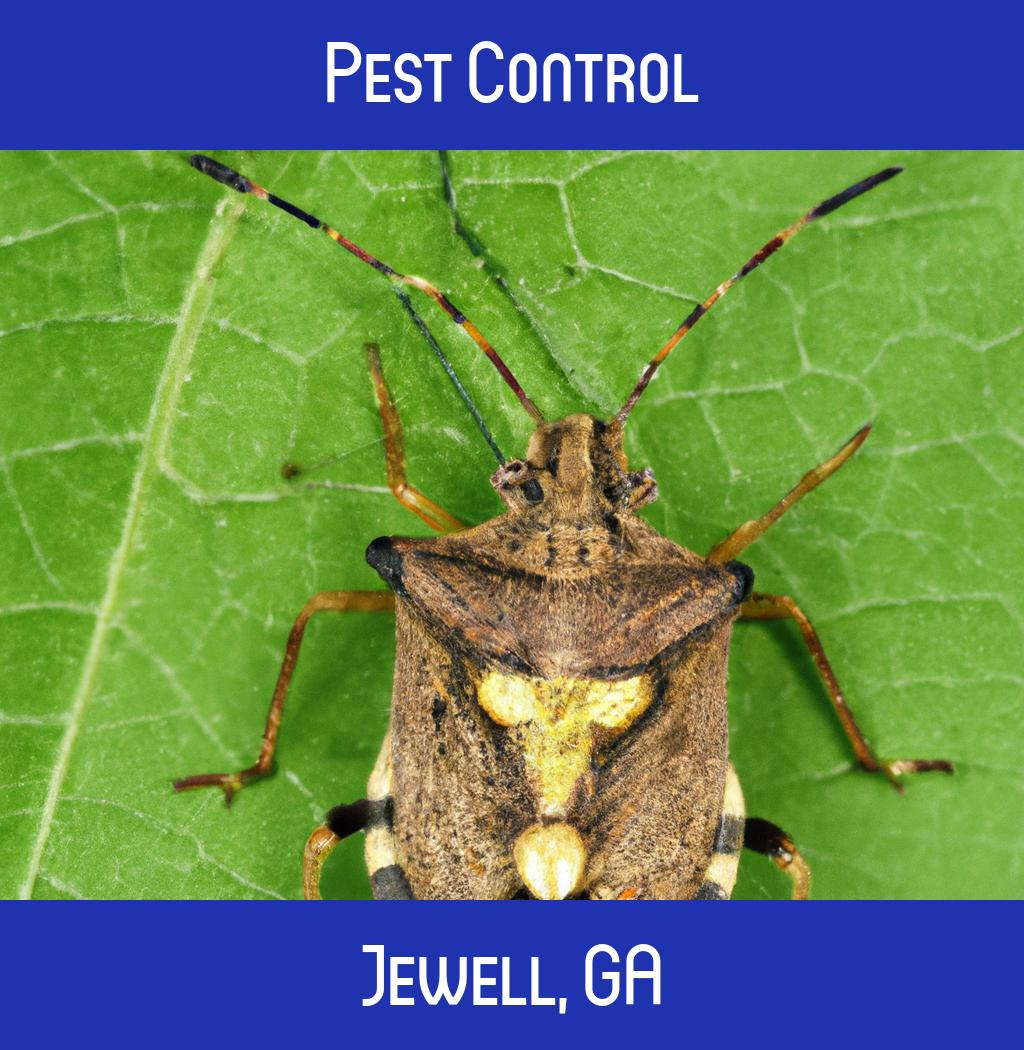 pest control in Jewell Georgia