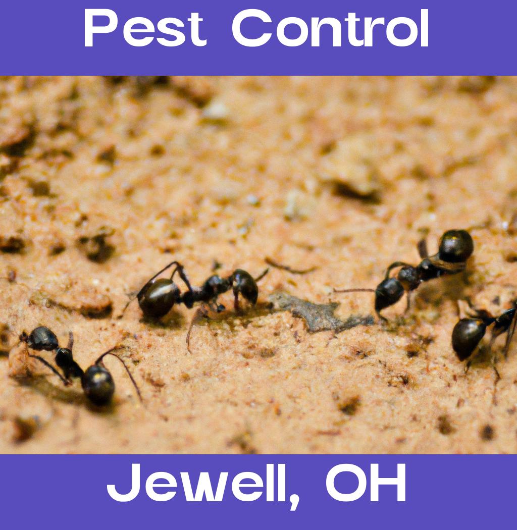 pest control in Jewell Ohio