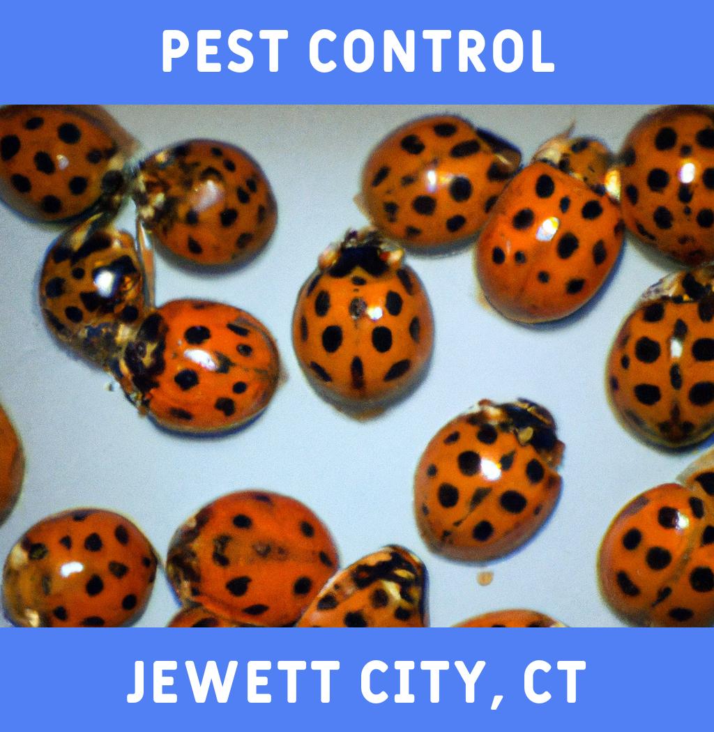 pest control in Jewett City Connecticut