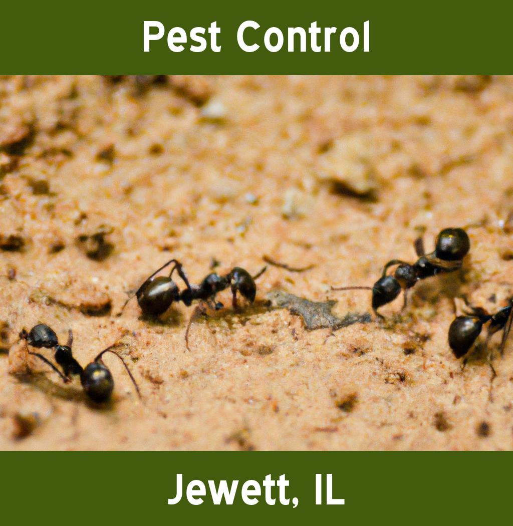 pest control in Jewett Illinois