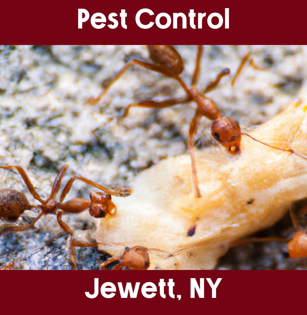 pest control in Jewett New York