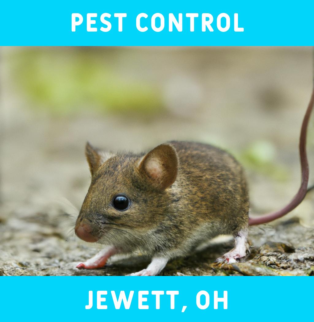 pest control in Jewett Ohio