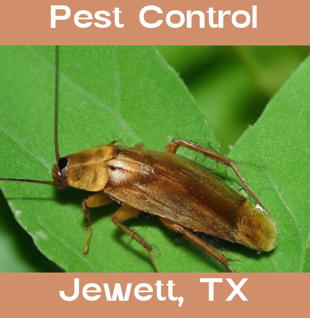 pest control in Jewett Texas
