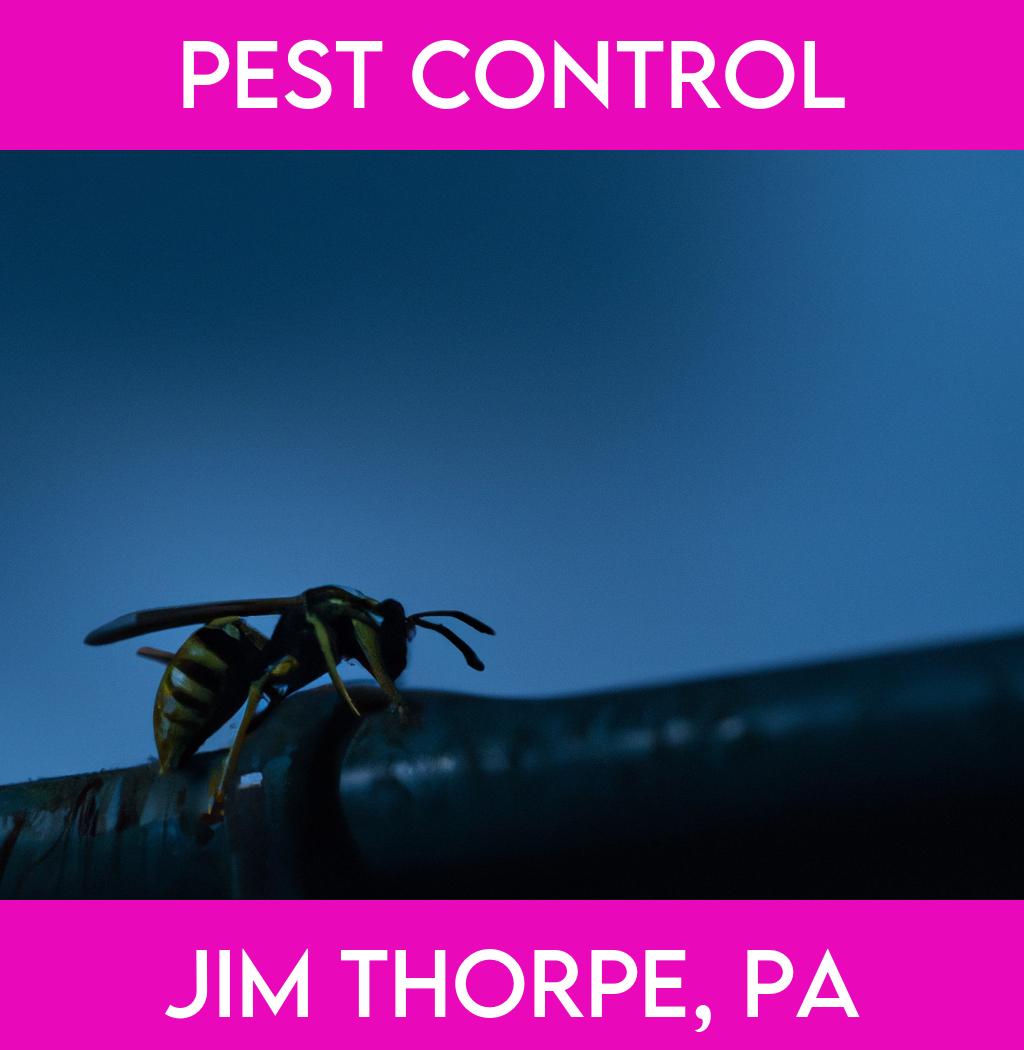 pest control in Jim Thorpe Pennsylvania