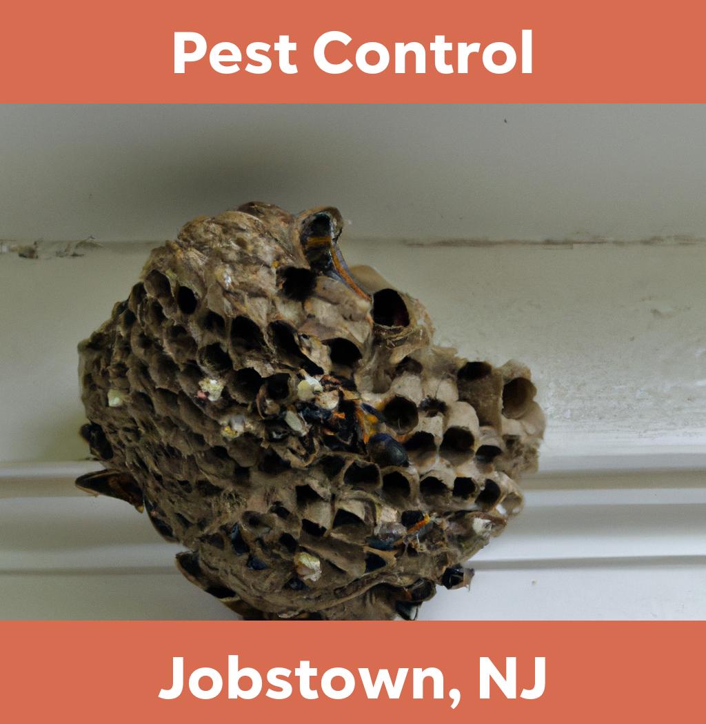 pest control in Jobstown New Jersey
