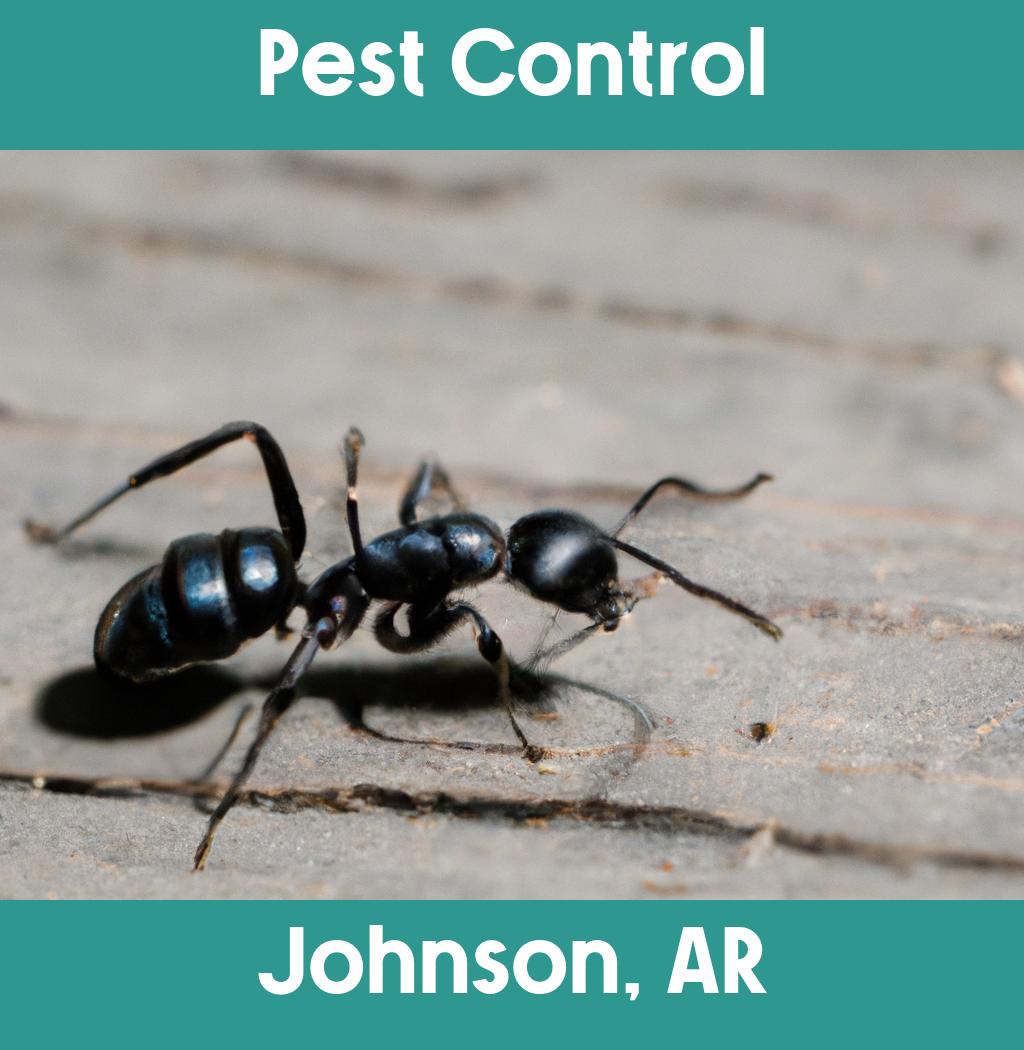 pest control in Johnson Arkansas