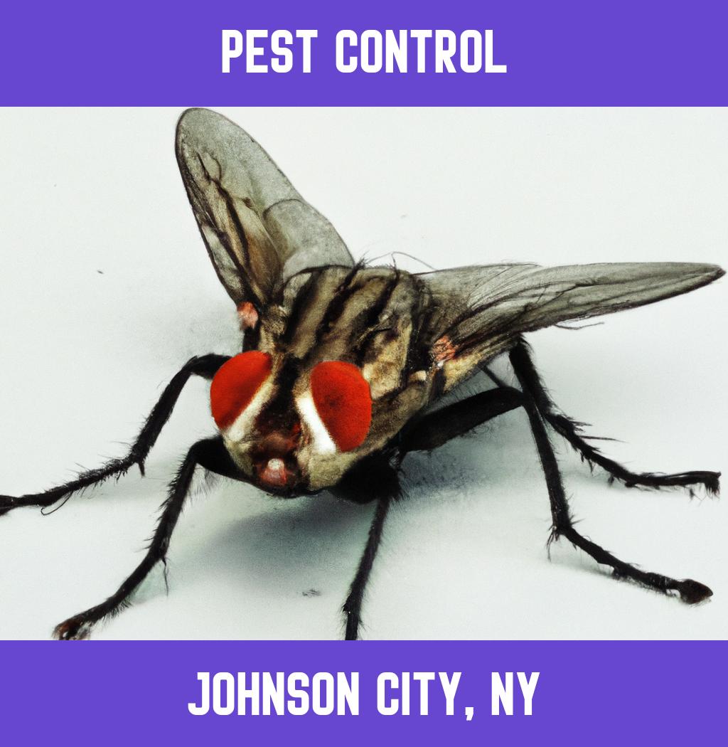 pest control in Johnson City New York