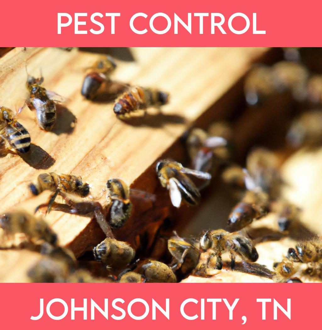 pest control in Johnson City Tennessee