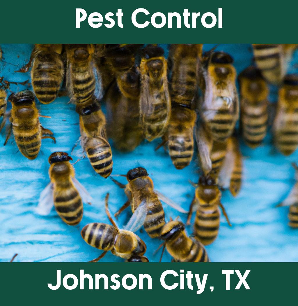 pest control in Johnson City Texas
