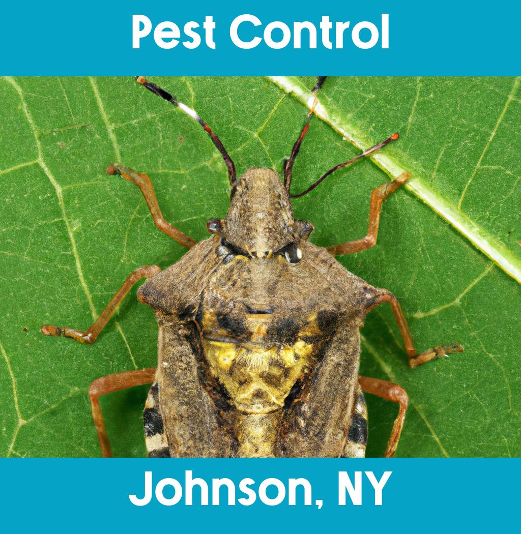 pest control in Johnson New York