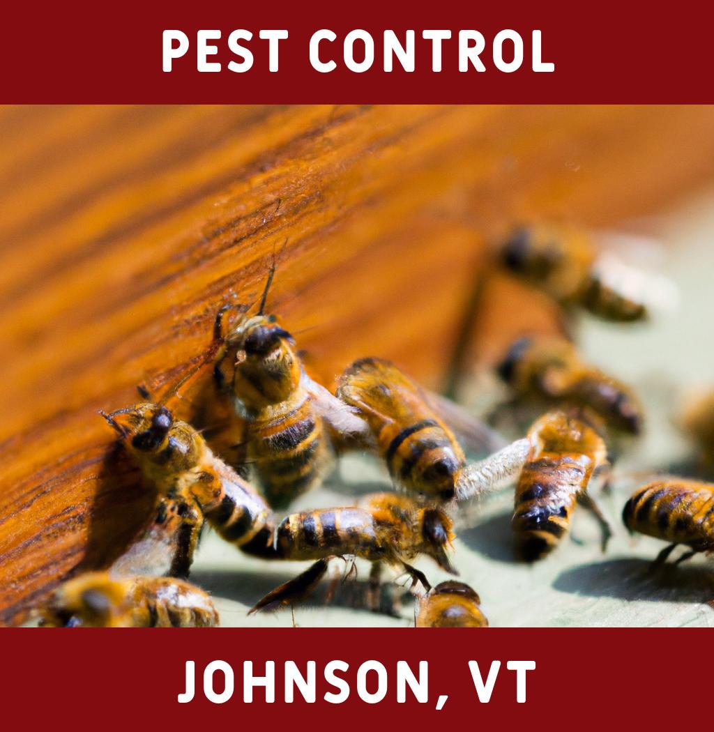 pest control in Johnson Vermont