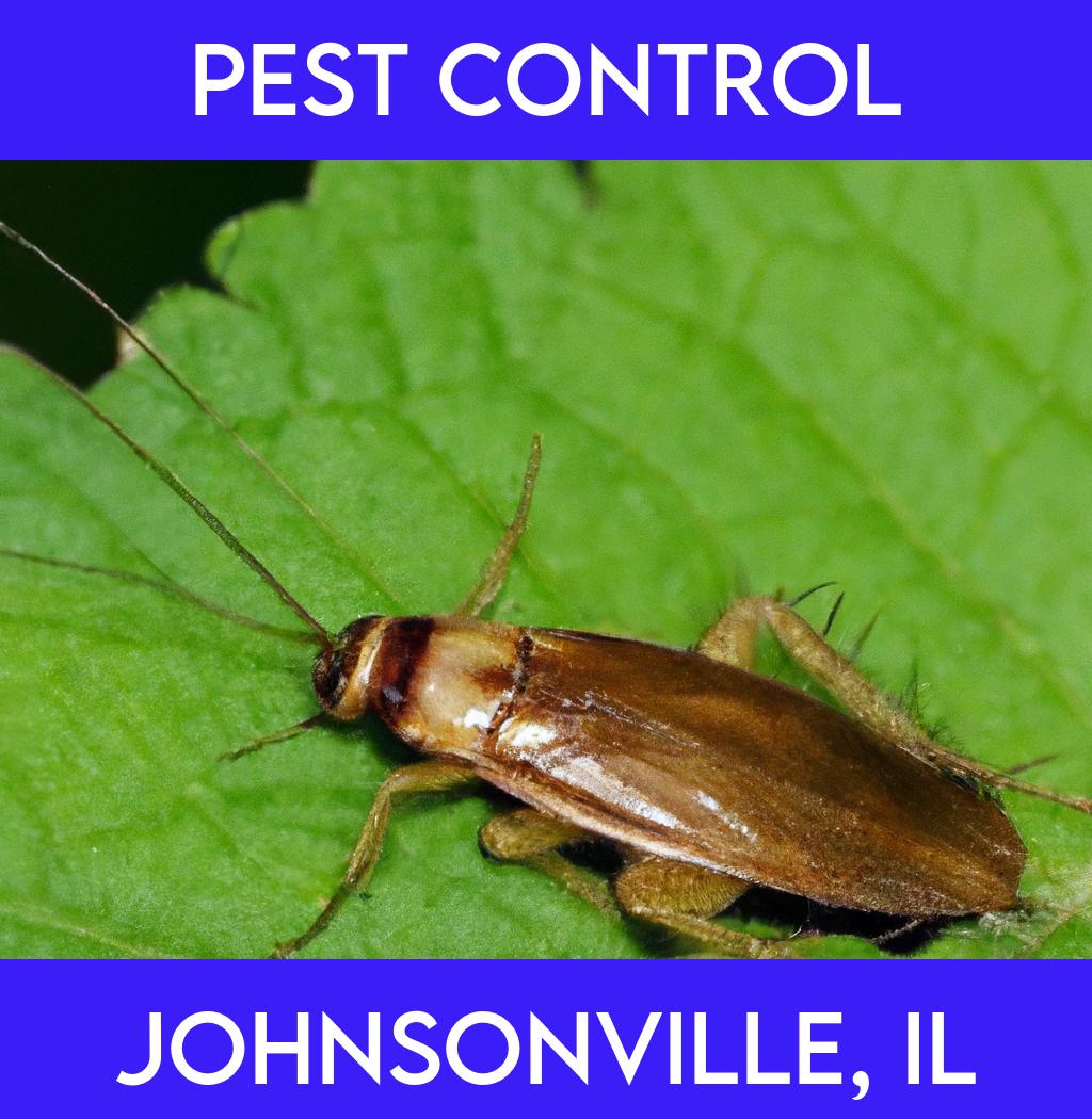 pest control in Johnsonville Illinois
