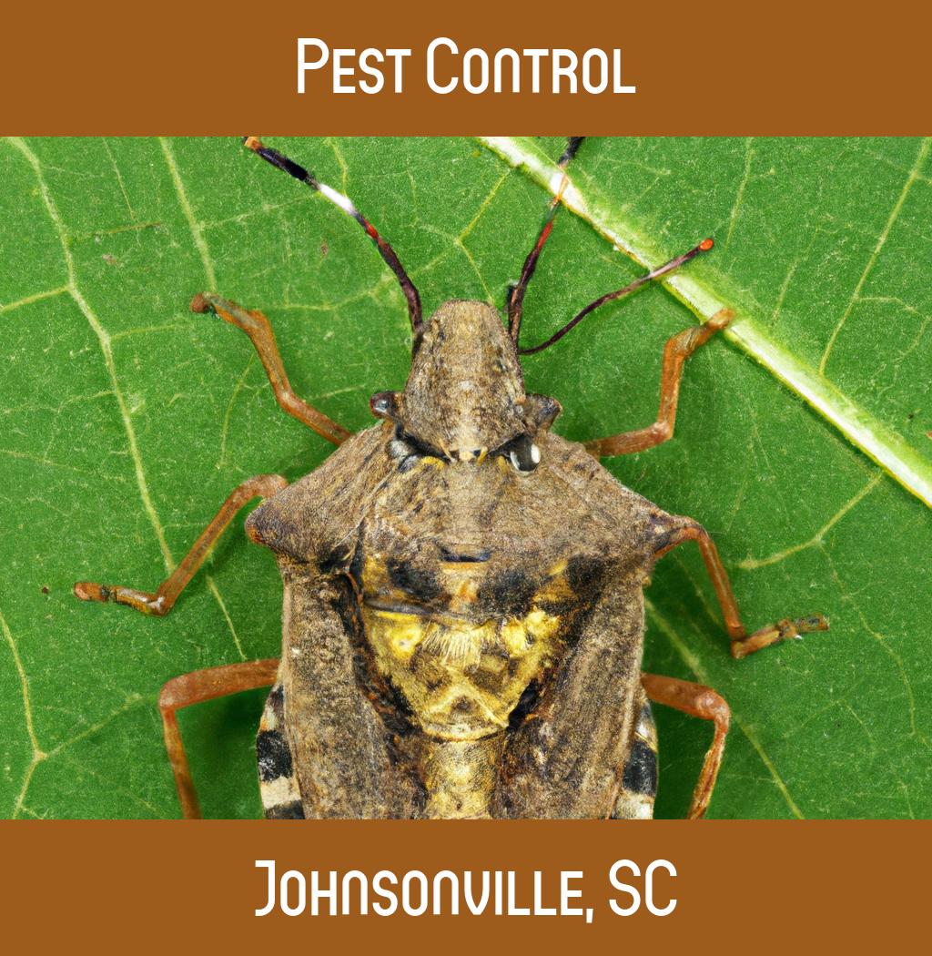 pest control in Johnsonville South Carolina