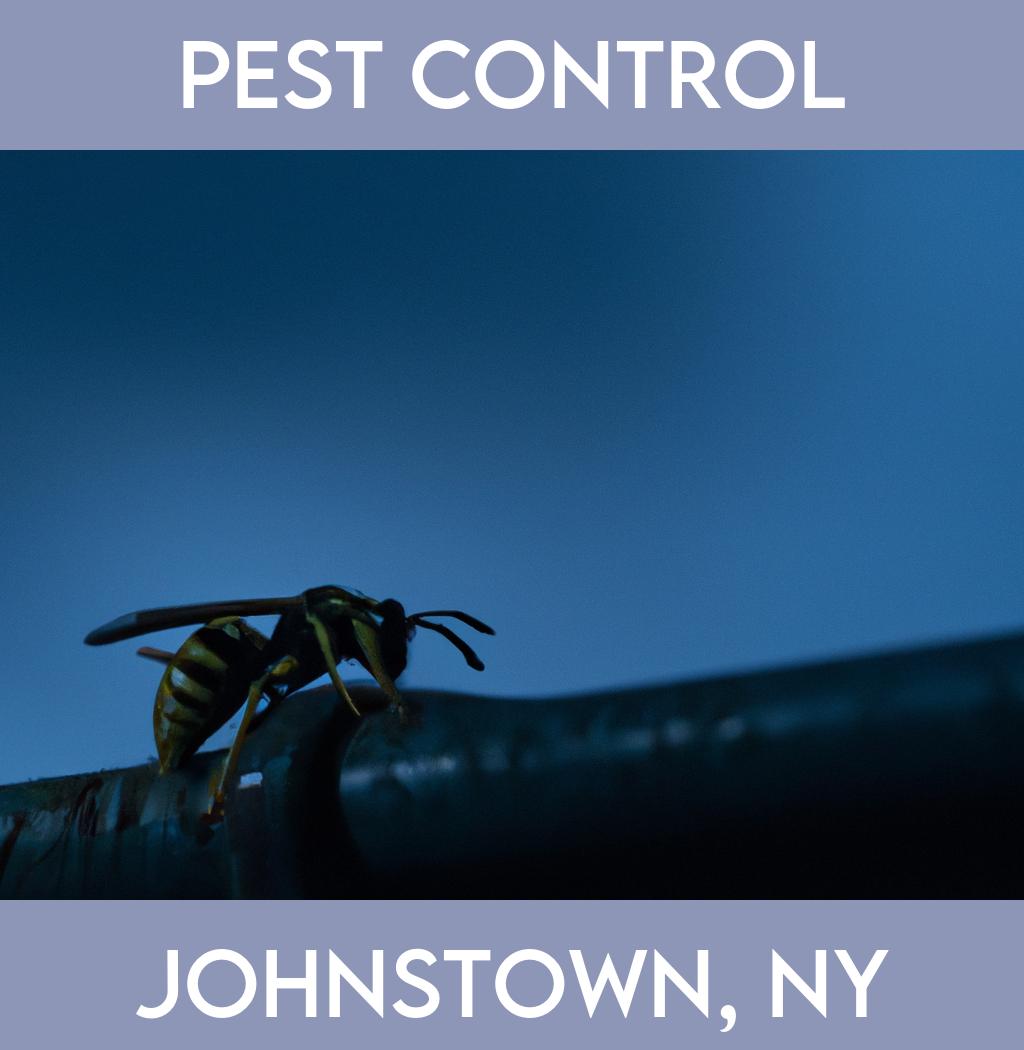 pest control in Johnstown New York