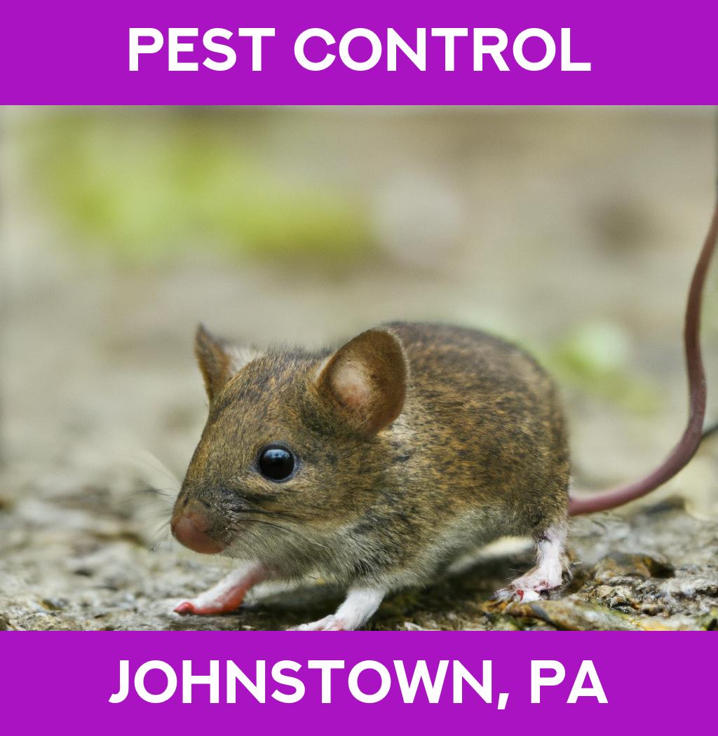pest control in Johnstown Pennsylvania