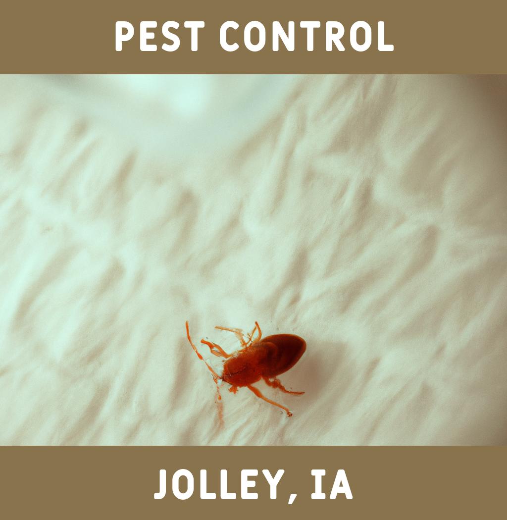 pest control in Jolley Iowa