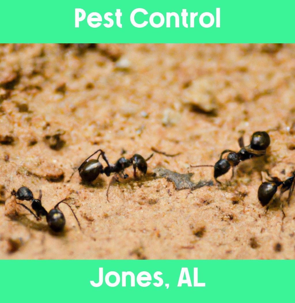 pest control in Jones Alabama