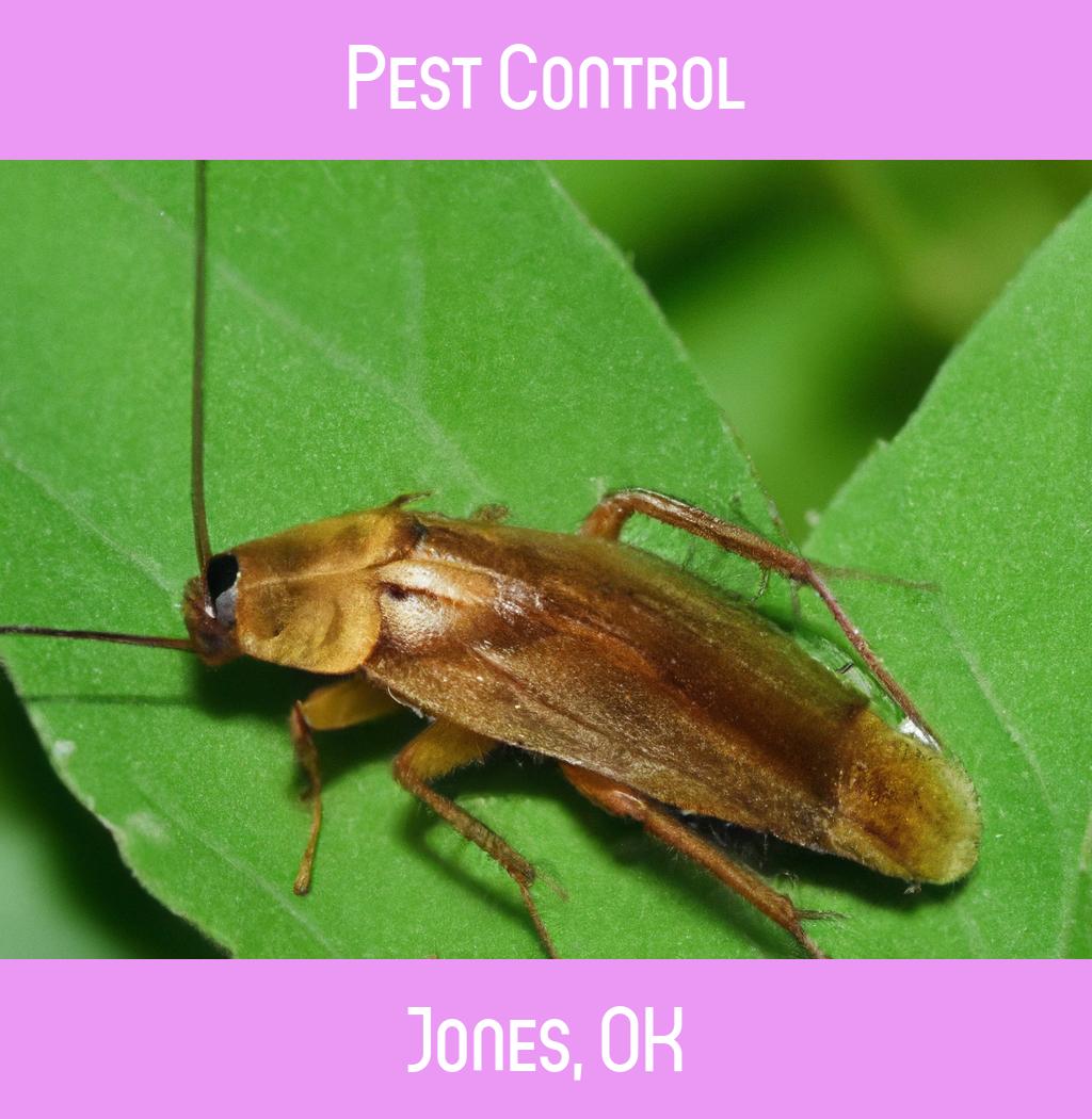 pest control in Jones Oklahoma
