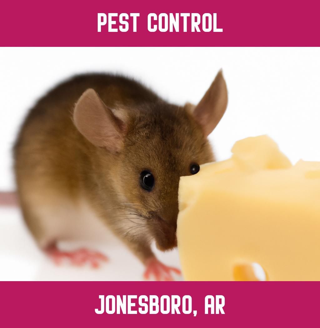 pest control in Jonesboro Arkansas