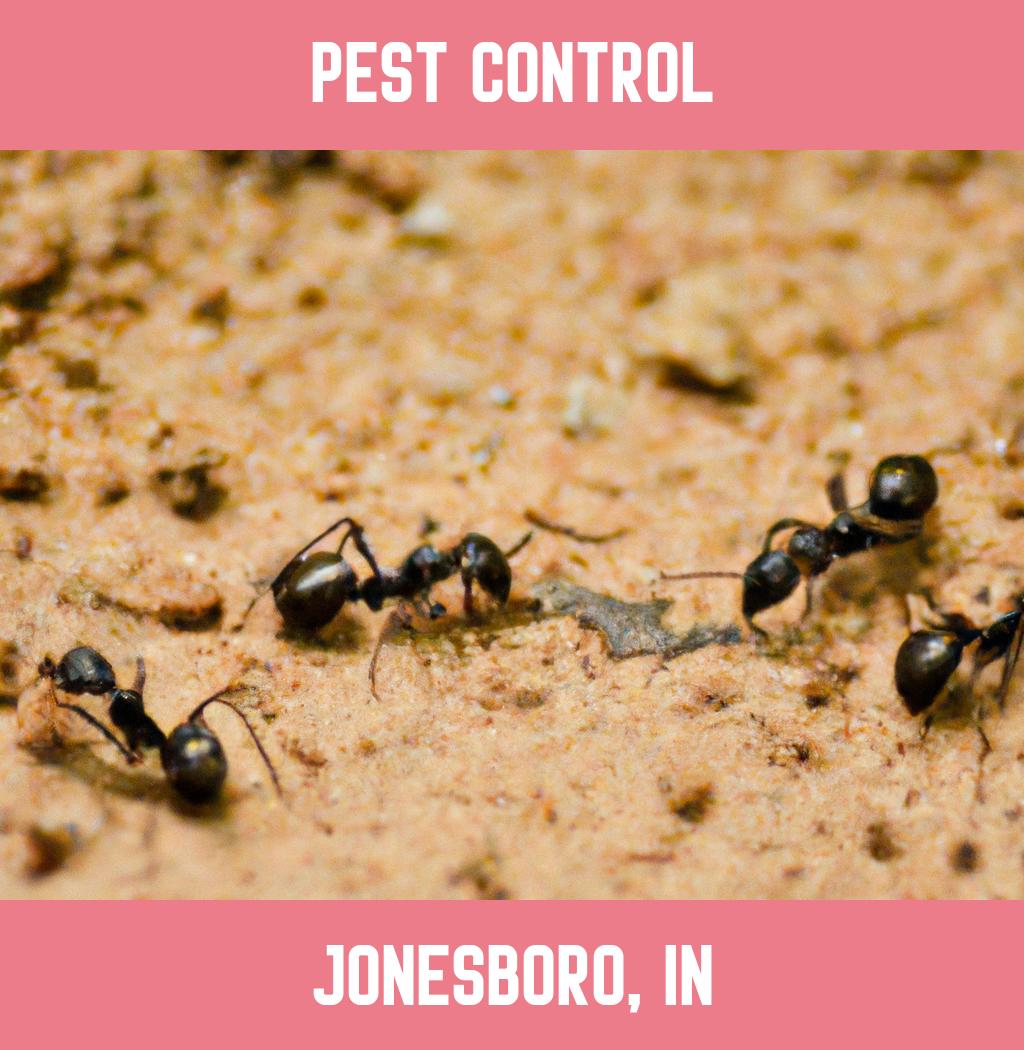 pest control in Jonesboro Indiana