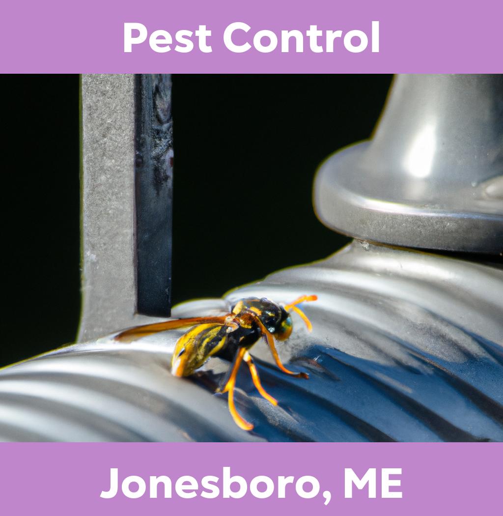 pest control in Jonesboro Maine