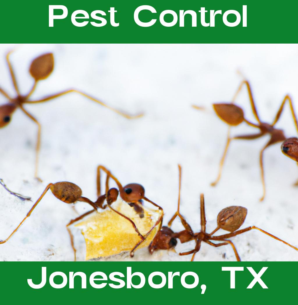 pest control in Jonesboro Texas