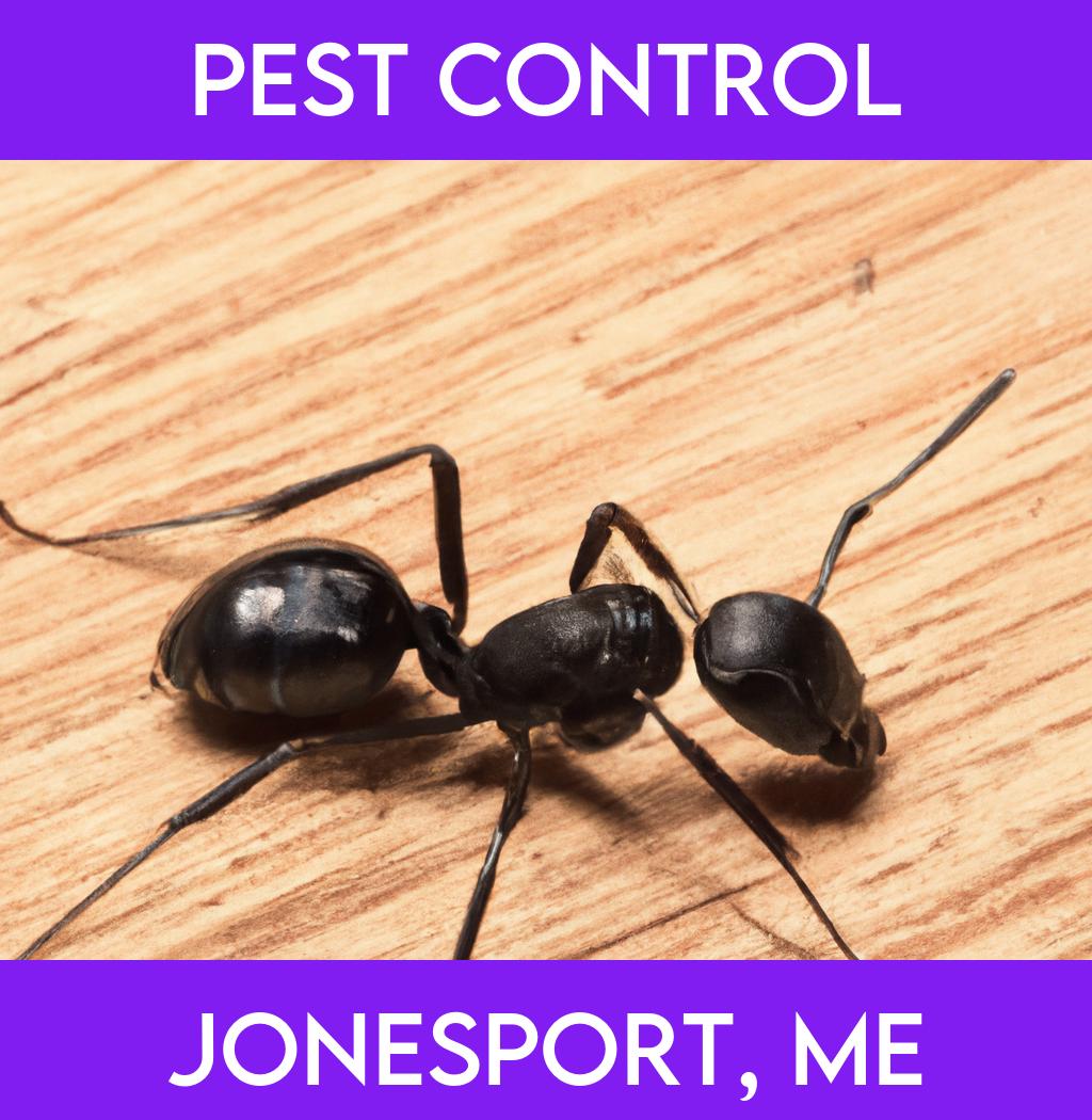 pest control in Jonesport Maine