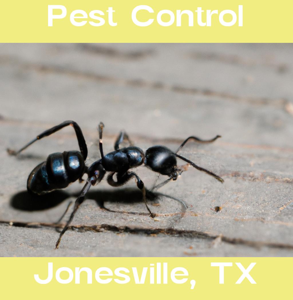 pest control in Jonesville Texas