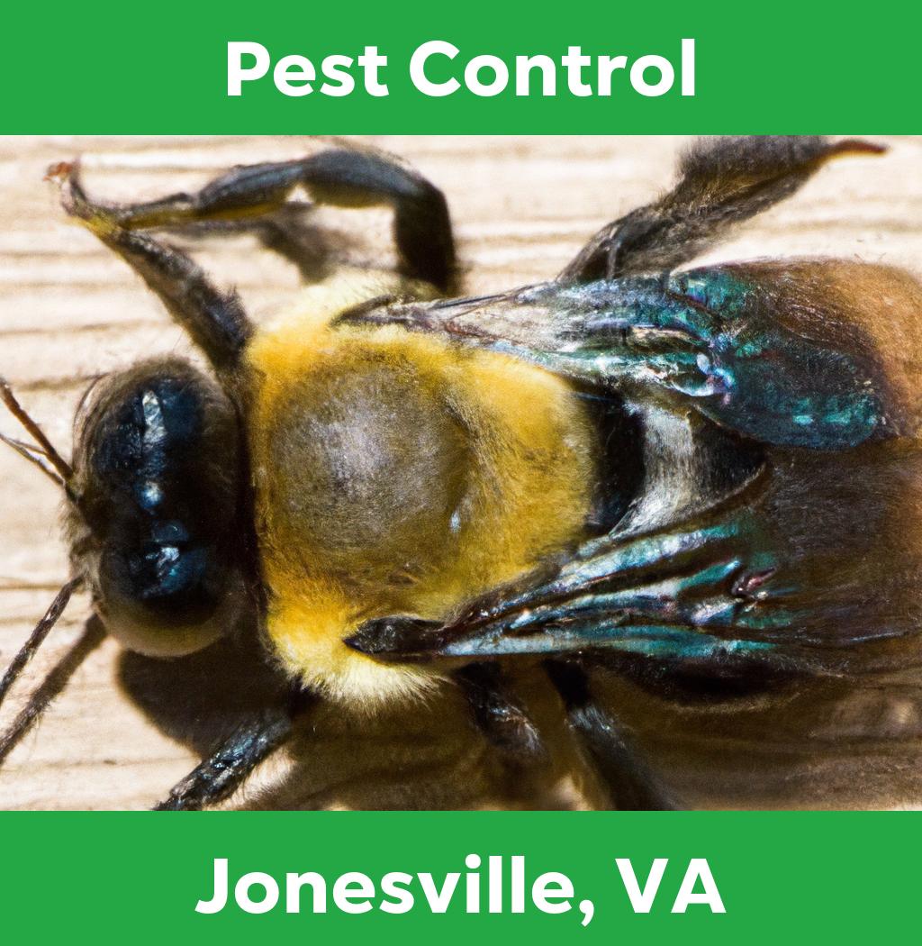 pest control in Jonesville Virginia