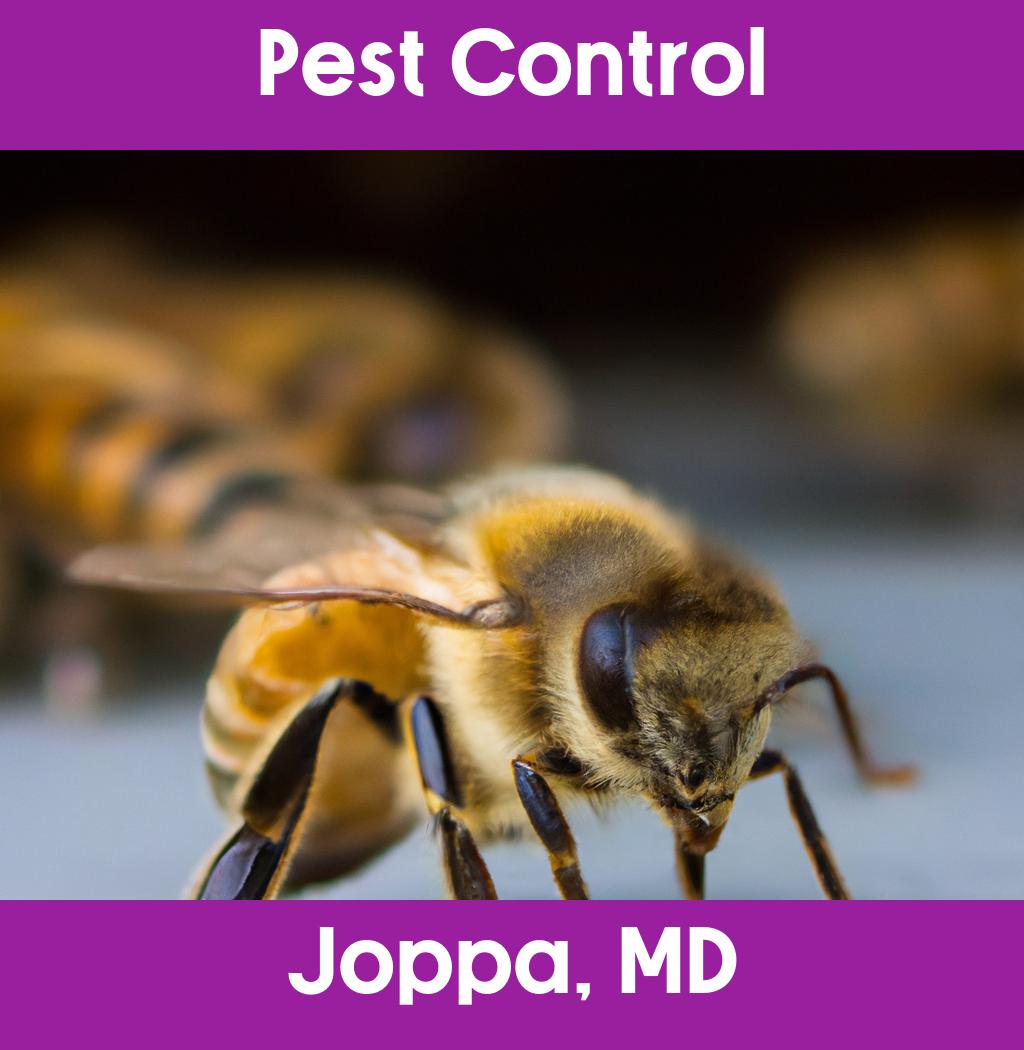 pest control in Joppa Maryland