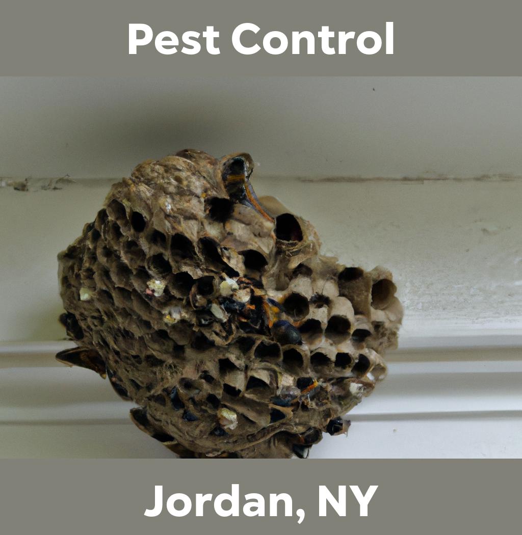 pest control in Jordan New York