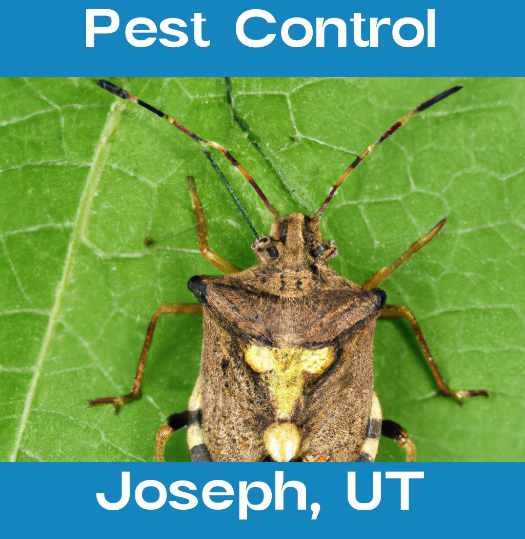 pest control in Joseph Utah