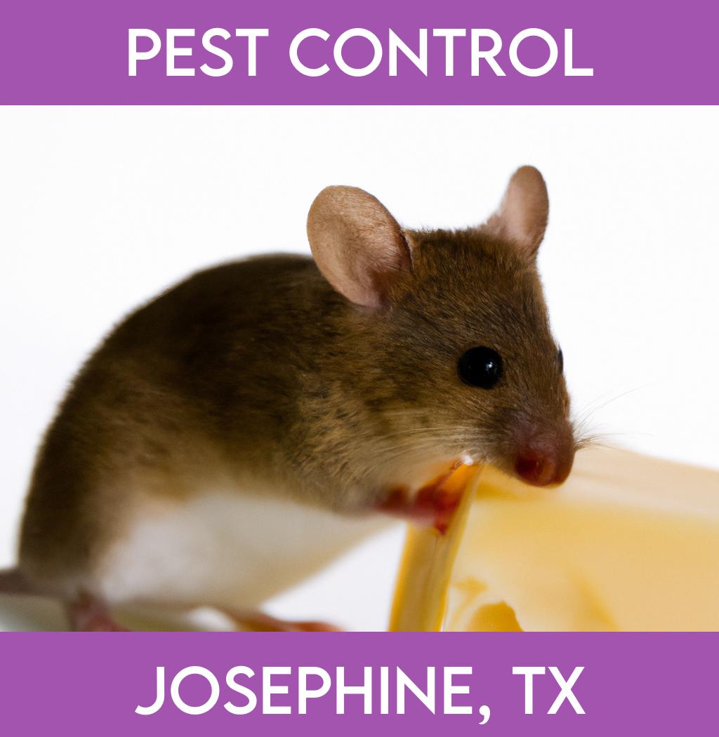 pest control in Josephine Texas