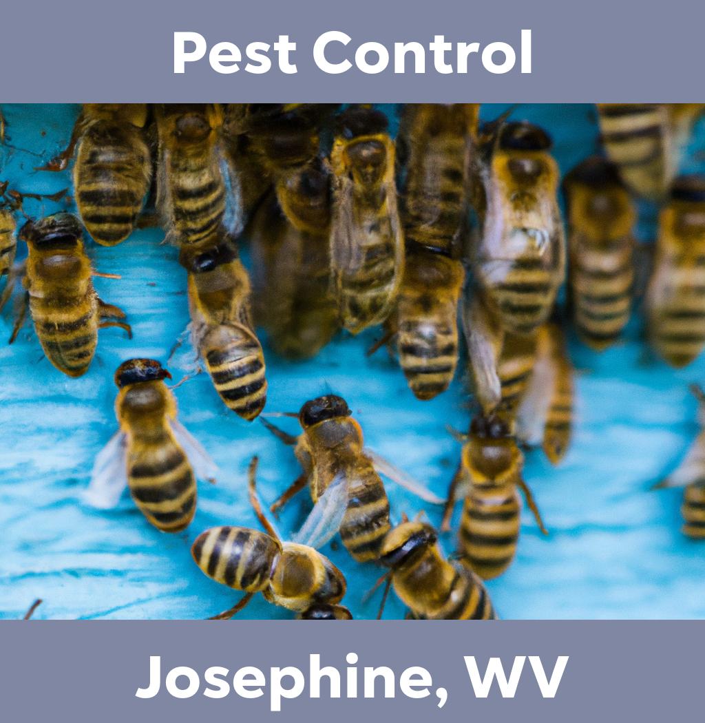 pest control in Josephine West Virginia