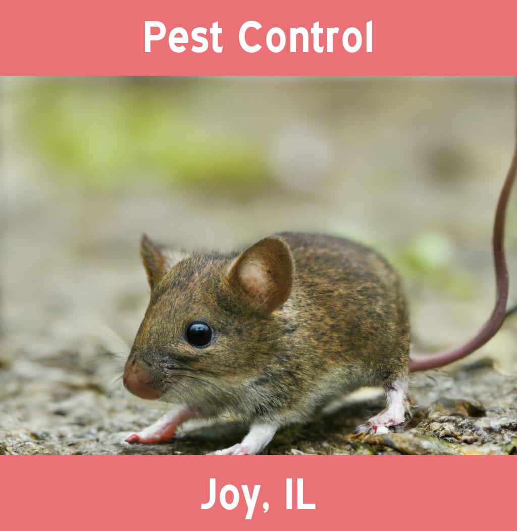 pest control in Joy Illinois