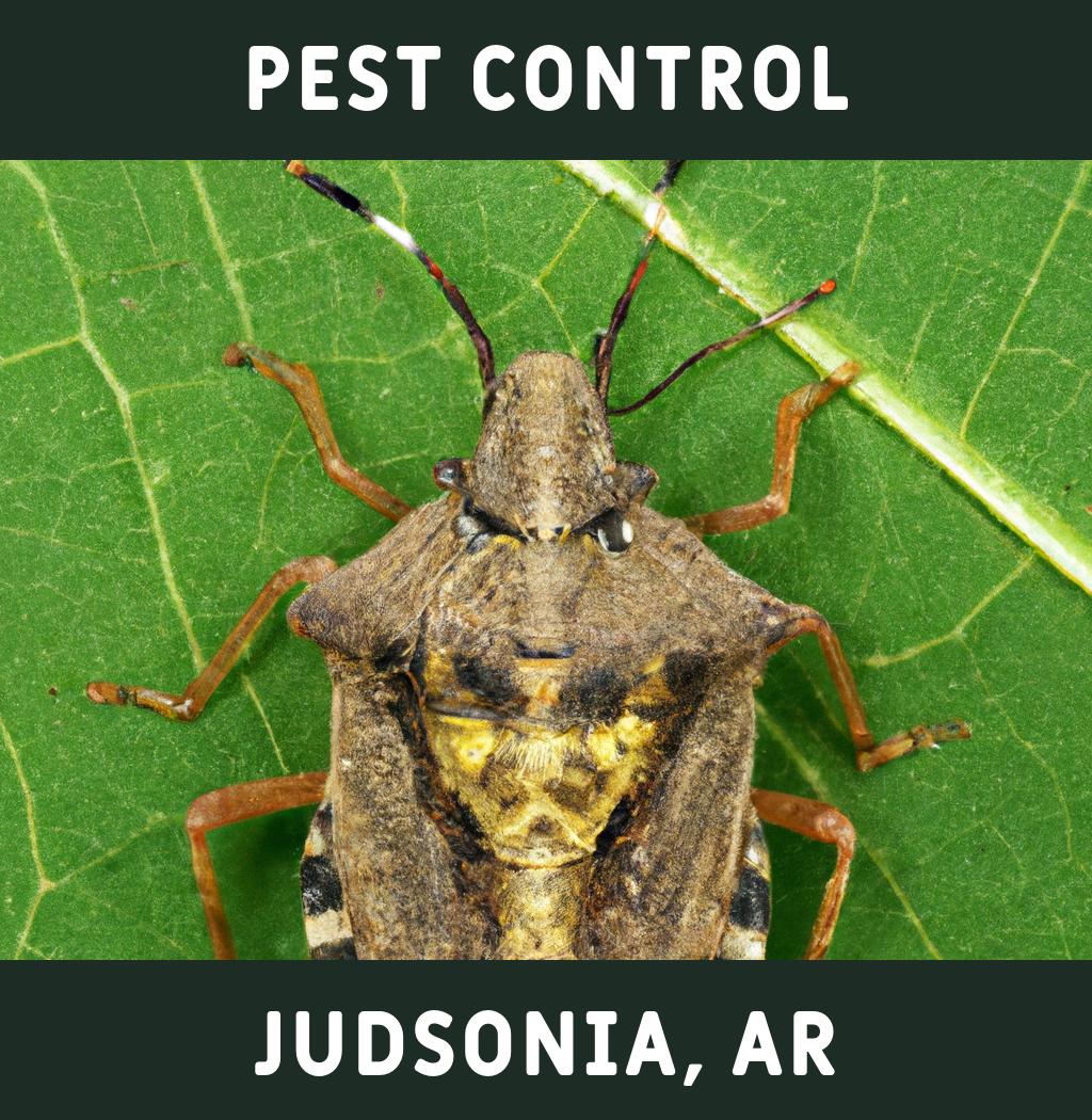 pest control in Judsonia Arkansas