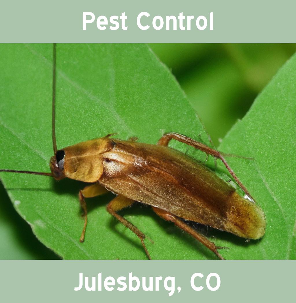pest control in Julesburg Colorado