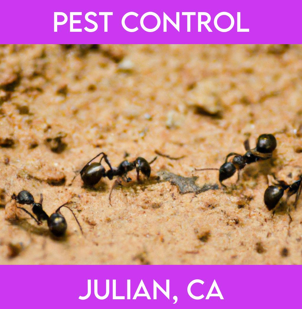 pest control in Julian California