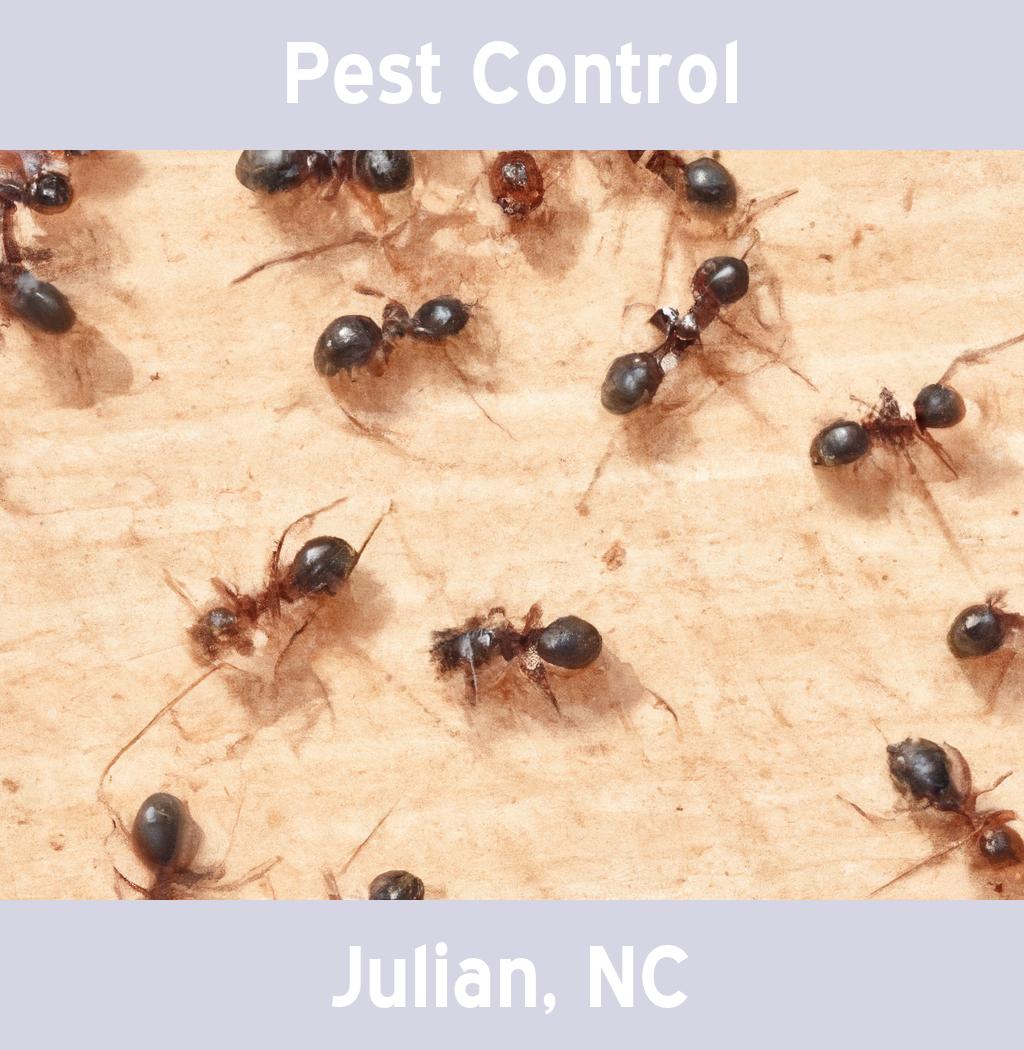 pest control in Julian North Carolina