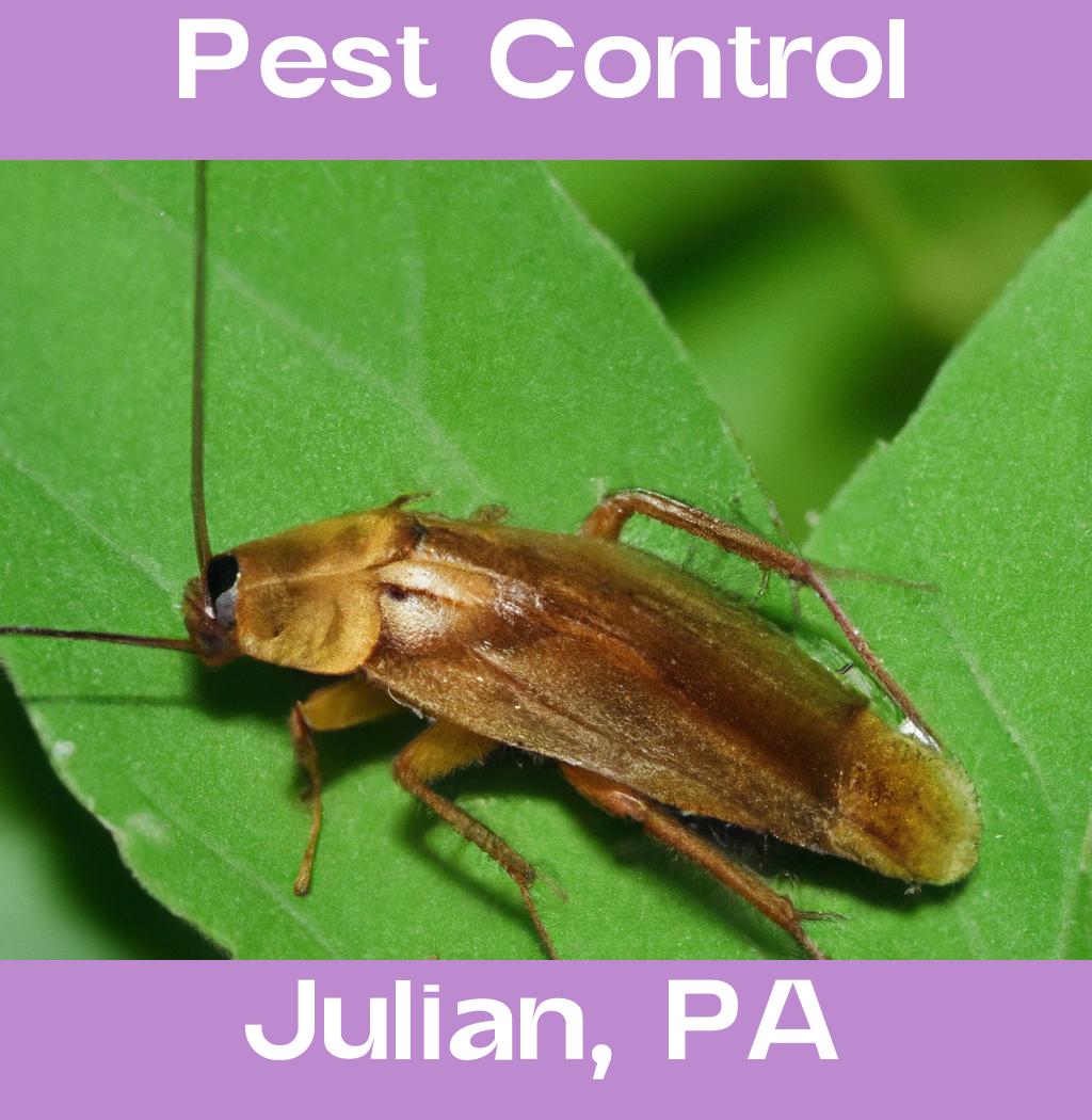 pest control in Julian Pennsylvania