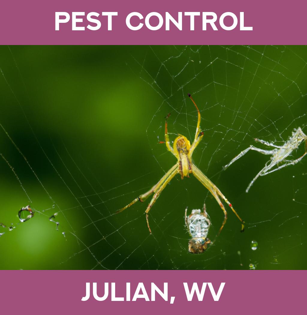 pest control in Julian West Virginia