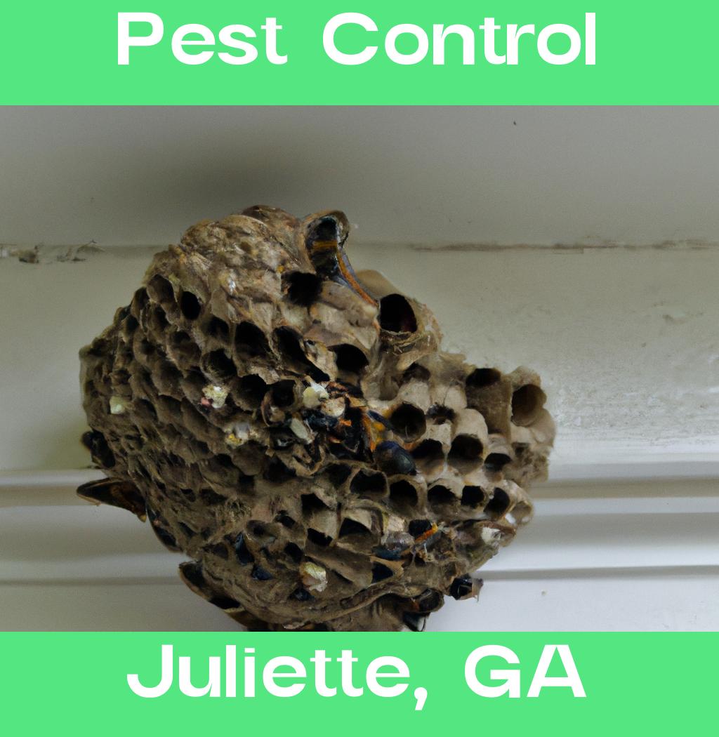 pest control in Juliette Georgia