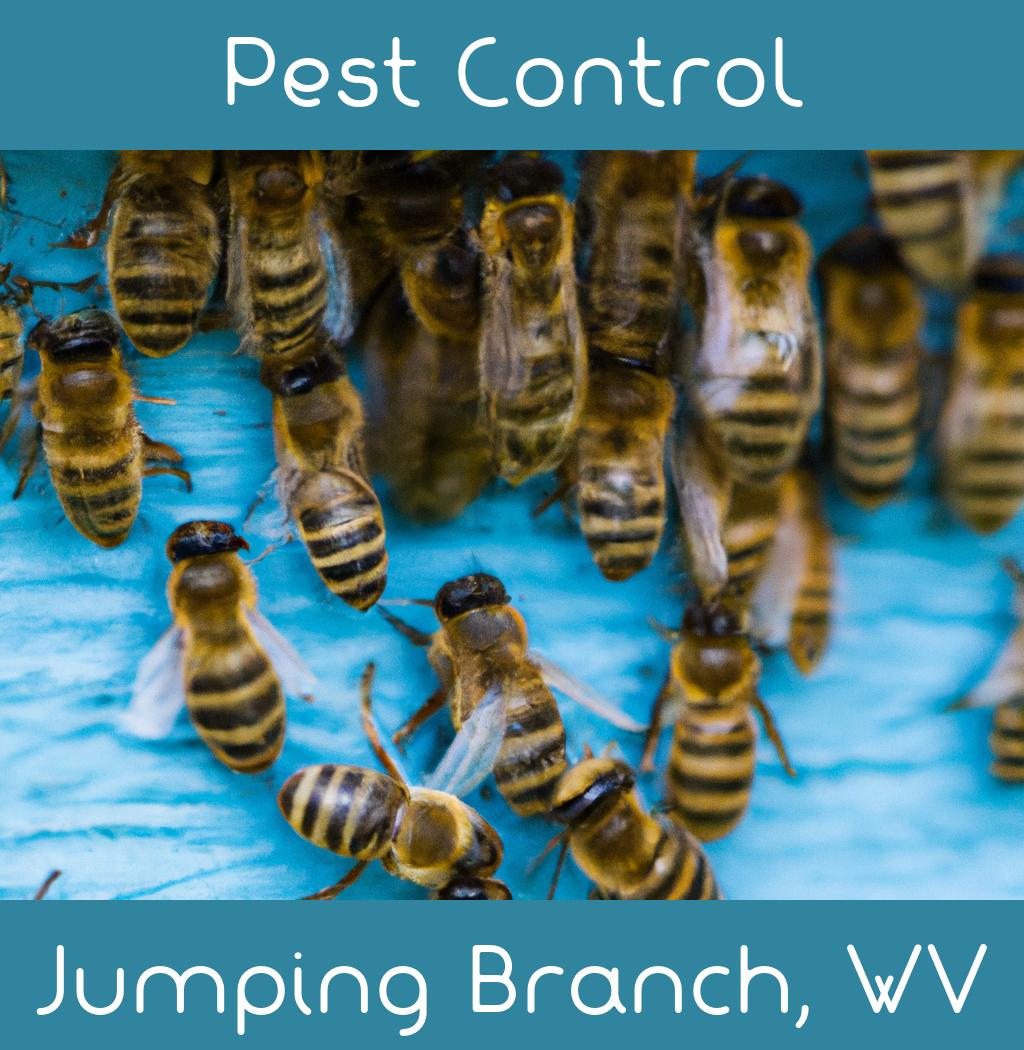 pest control in Jumping Branch West Virginia