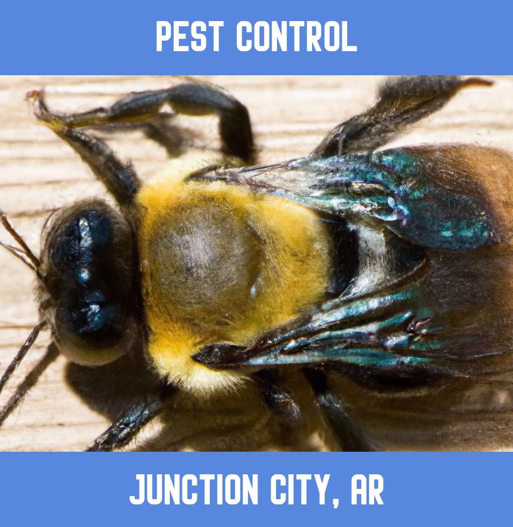 pest control in Junction City Arkansas