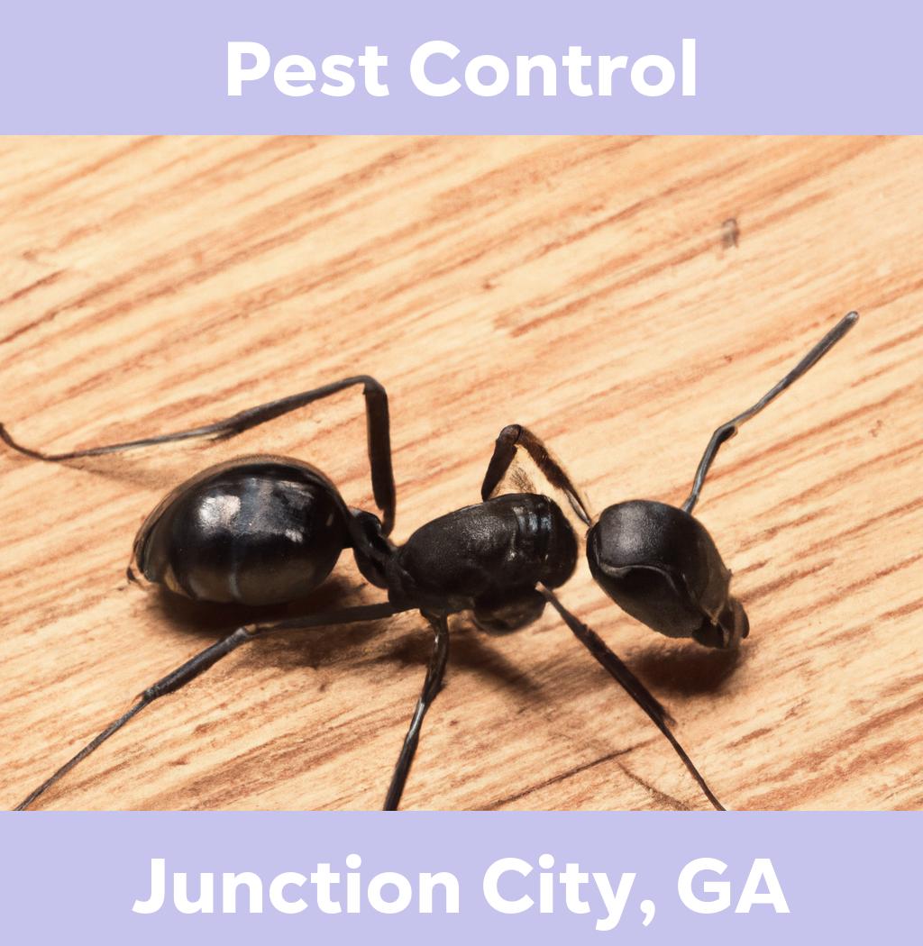 pest control in Junction City Georgia