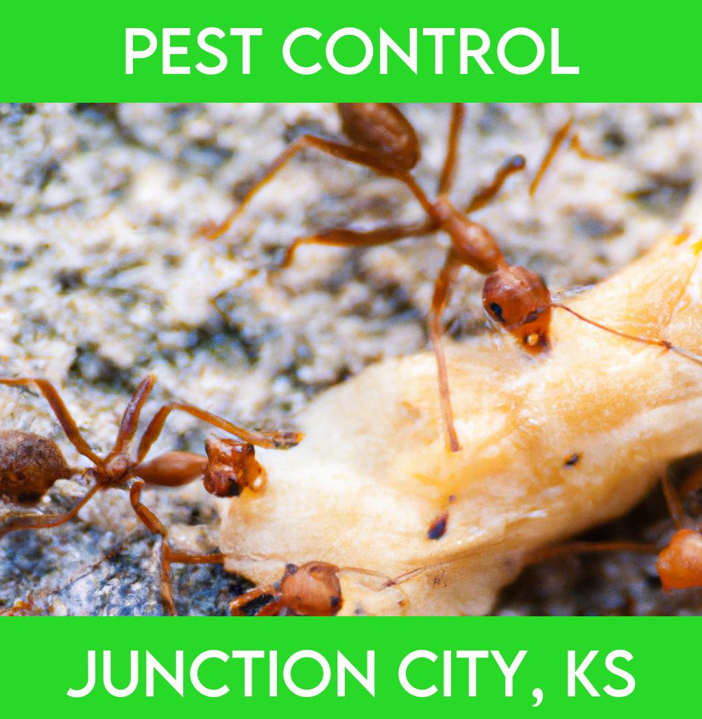 pest control in Junction City Kansas